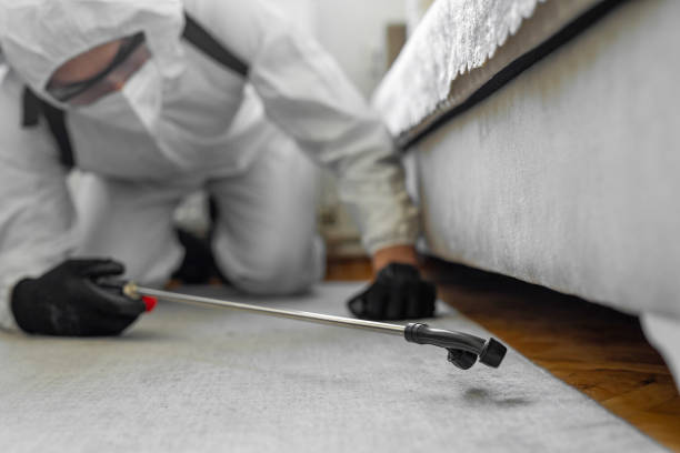 Professional Termite Control technician working in Myrtle Grove, NC