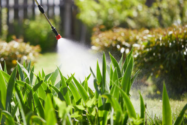 24/7 Emergency Termite Control experts in Myrtle Grove, NC