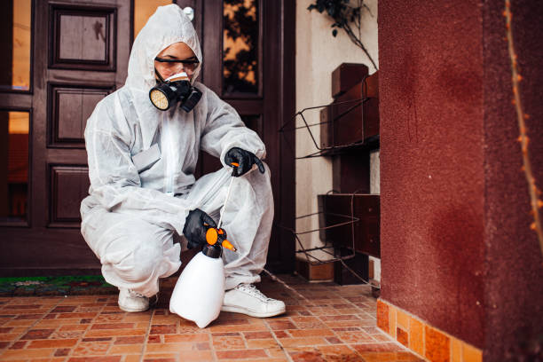 Reliable Termite Control contractor in Myrtle Grove, NC by Nex Pest Control